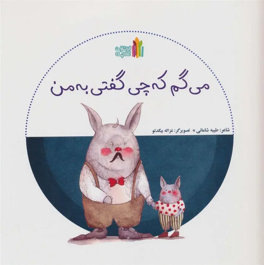 دانلود pdf کتاب می گم که چی گفتی به من طیبه شامانی