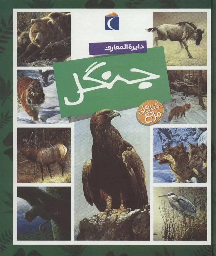 دانلود pdf کتاب دایره المعارف جنگل امیلی بومون
