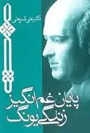 دانلود pdf کتاب پایان غم انگیز زندگی یونگ علی شریعتی