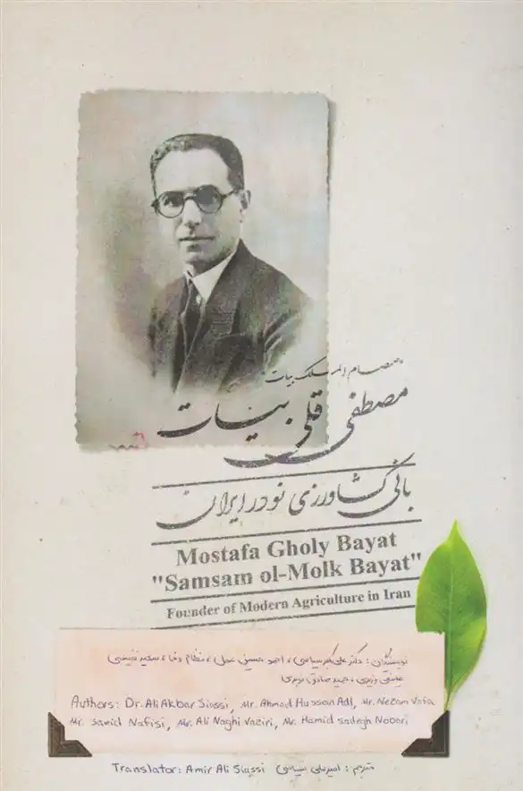 دانلود pdf کتاب مصطفی قلی بیات 