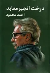 خرید و قیمت کتاب درخت انجیر معابد (۲ جلدی) اثر احمد محمود