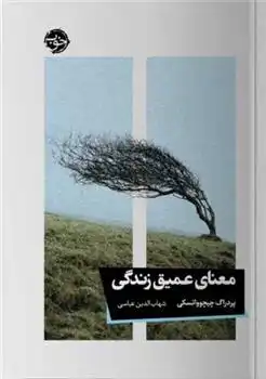 دانلود pdf کتاب معنای عمیق زندگی پردراگ چیچوواتسکی