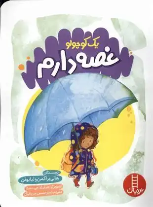 دانلود pdf کتاب یک کوچولو غصه دارم هالی براکمن