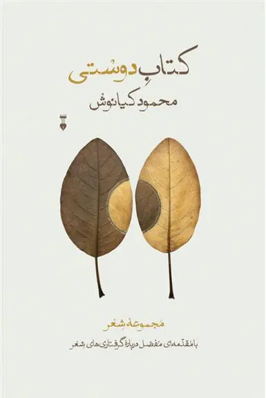 دانلود pdf کتاب دوستی محمود کیانوش