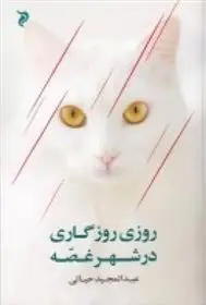 دانلود pdf کتاب روزی روزگاری در شهر غصه عبدالمجید حیاتی