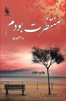 دانلود pdf کتاب منتظرت بودم رویا اکبری