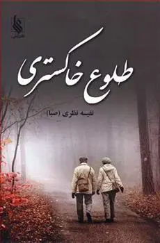 دانلود pdf کتاب طلوع خاکستری نفیسه نظری