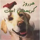 دانلود pdf کتاب هر روز کریسمس است بردلی ترور گریو