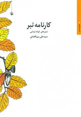 دانلود pdf کتاب کارنامه تبر سید علی میرافضلی