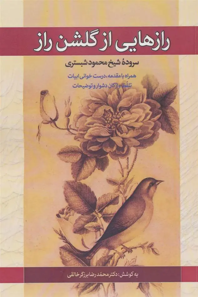 دانلود pdf کتاب رازهایی از گلشن راز محمدرضا برزگر خالقی