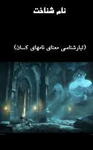 دانلود pdf کتاب  نام شناخت  شروین وکیلی رایگان
