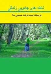 دانلود pdf کتاب  نکته های جادویی زندگی  سیدفرهادحسینی ملا رایگان