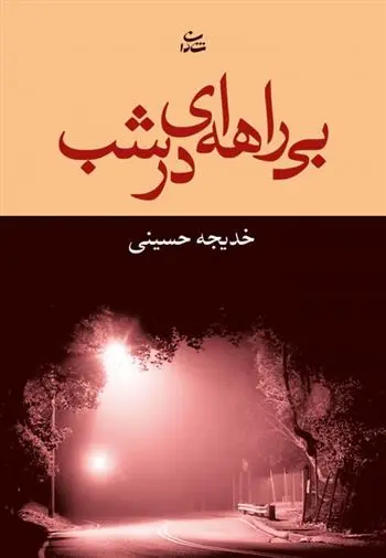 دانلود pdf کتاب بی راهه ای در شب خدیجه حسینی