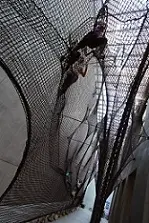 دانلود pdf مقاله  سازه های تعاملی رایگان