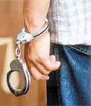 دانلود pdf مقاله  جرم شناسی در آیات قرآن کریم‎ رایگان