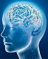 دانلود pdf مقاله  یک طبقه بندی کننده گروهی الهام گرفته از یادگیری عاطفی مغز ELiEC رایگان