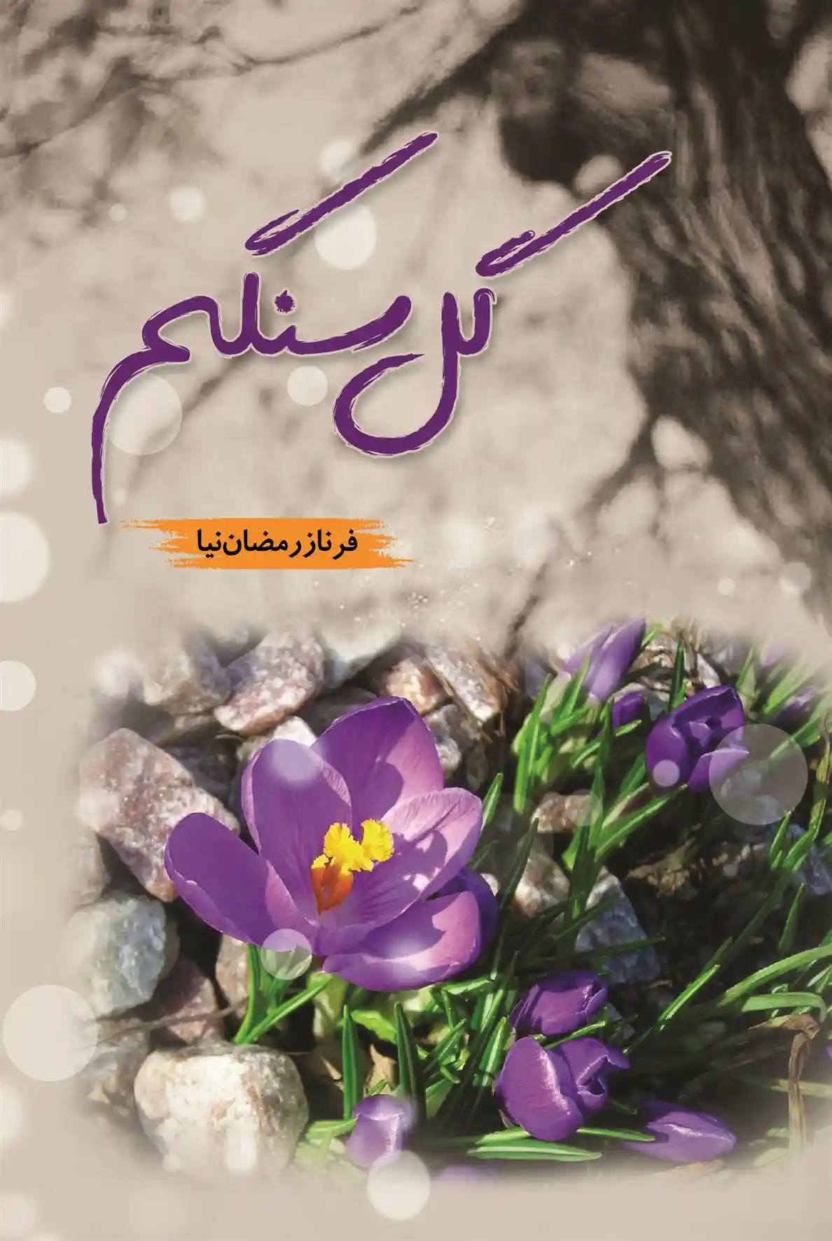 دانلود pdf کتاب گل سنگم فرناز رمضان نیا