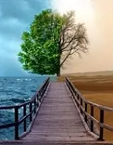 دانلود pdf مقاله  بهره وری نیروی انسانی و عوامل موثر بر افزایش آن‎ رایگان