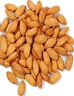 دانلود pdf مقاله  کاشت، داشت، برداشت و خواص بادام رایگان