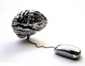 دانلود pdf مقاله  تقویت پیوند بین سنجش عملکرد و تصمیم گیری‎ رایگان