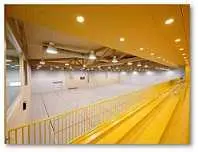 دانلود pdf پروژه  محوطه سازی مکانهای ورزشی‎ رایگان