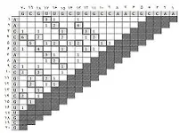 دانلود pdf پایان نامه  پیش بینی ساختار دوم RNA با استفاده از الگوریتم SetPSO‎ رایگان