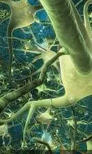 دانلود pdf پایان نامه  شبکه های عصبی مصنوعی رایگان