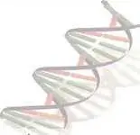 دانلود pdf پایان نامه  بررسی الگوریتم ژنتیک در TSP و NP-HARD رایگان