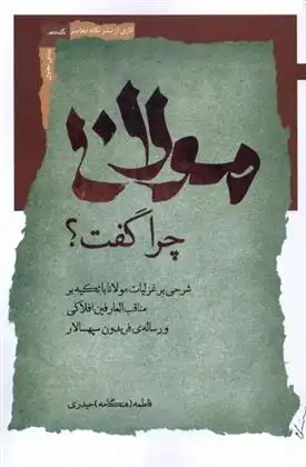 دانلود pdf کتاب مولانا چرا گفت ؟ فاطمه حیدری