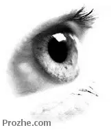 دانلود pdf پایان نامه  آماری- تغییر حساسیت بینایی با افزایش سن رایگان