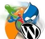 دانلود pdf پایان نامه  پیرامون سیستم های مدیریت محتوا رایگان