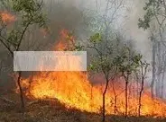 دانلود pdf مقاله  احتراق در محیط زیست رایگان