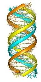 دانلود pdf مقاله  پیرامون الگوریتم های ژنتیک موازی رایگان