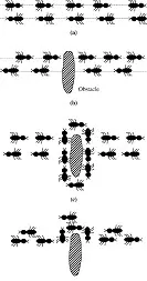دانلود pdf مقاله  پیرامون الگوریتم کلونی مورچه ها رایگان