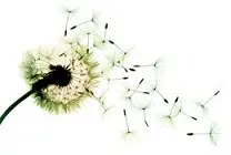 دانلود pdf مقاله  شبکه عصبی کامپیوتری با استفاده حالت ریسک و تقویت یادگیری رایگان