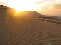 دانلود pdf مقاله  توسعه حیات در کویر رایگان