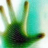 دانلود pdf پروژه  و مقاله پیرامون بیومتریک رایگان