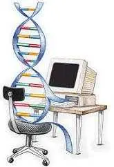 دانلود pdf مقاله  پیرامون الگوریتم ژنتیک و حل مسئله TSP رایگان