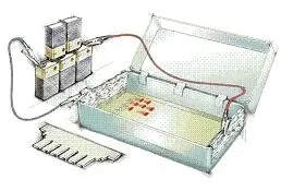 دانلود pdf تحقیق  و مقاله پیرامون الکتروفورز رایگان