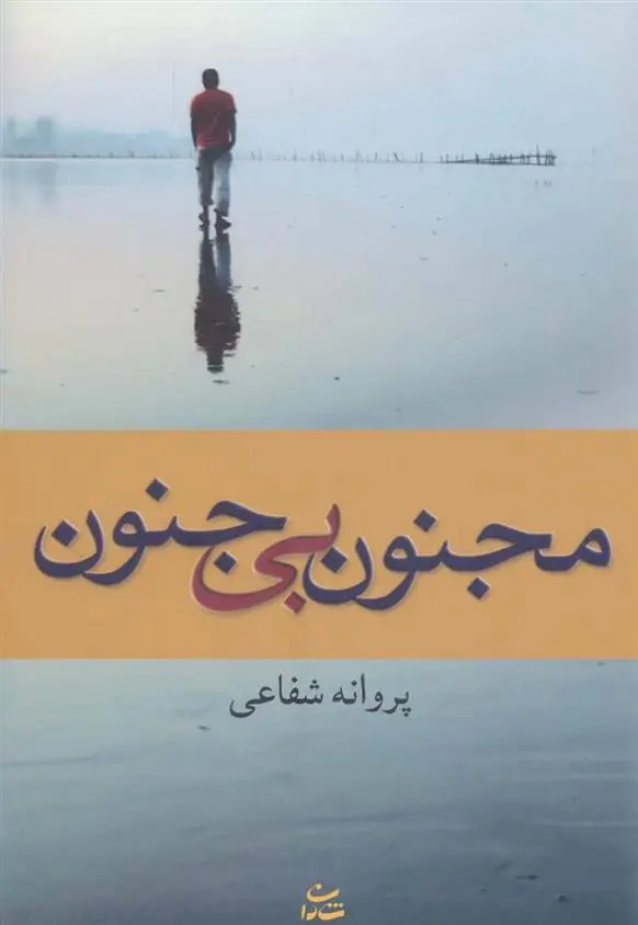 دانلود pdf کتاب مجنون بی جنون پروانه شفاعی