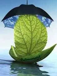 دانلود pdf کتاب بیمه، یک تسکین یا دردی پنهان سید مهدی طباطبائی رایگان