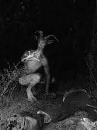 دانلود pdf کتاب عالم جن رایگان