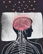 دانلود pdf کتاب خواب مجله ویستا رایگان