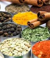 دانلود pdf کتاب جستاری در گیاهان دارویی و داروهای گیاهی ایران دکتر کیسی آ وود رایگان