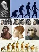 دانلود pdf کتاب فرضیه شجره و خلقت نخستین انسان ها شهروز حسنی رایگان