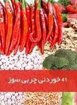 دانلود pdf کتاب ۴۱ خوردنی چربی سوز رایگان