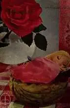 دانلود pdf کتاب عروس گلها هانس کریستیان آندرسن رایگان