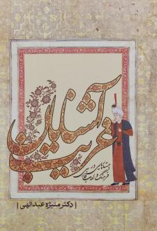 دانلود pdf کتاب آشنایان غریب منیژه عبدالهی