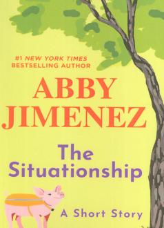 دانلود pdf کتاب The Situationship ابی هیمنز