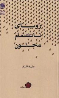 دانلود pdf کتاب رویای ناتمام مجنون علیرضا لک
